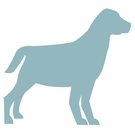 promenade-animal